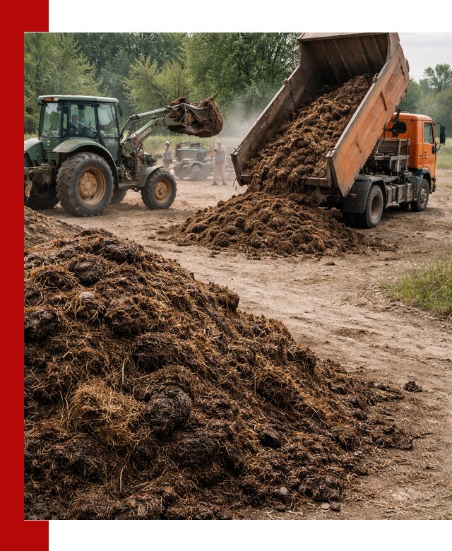 Доставка навоза самосвалами в Стрежевом для сельхозпотребностей