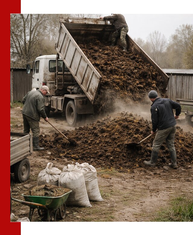Доставка коровьего навоза самосвалом в Стрежевом